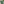 folded green tee surrounded by wood, leaves, shells, and watering can