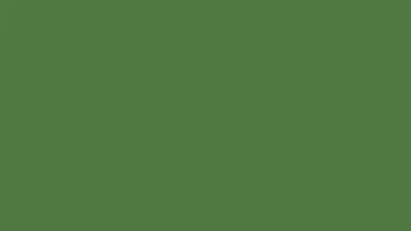 Solid green background for Lifeguard Santa Unisex Tee product display