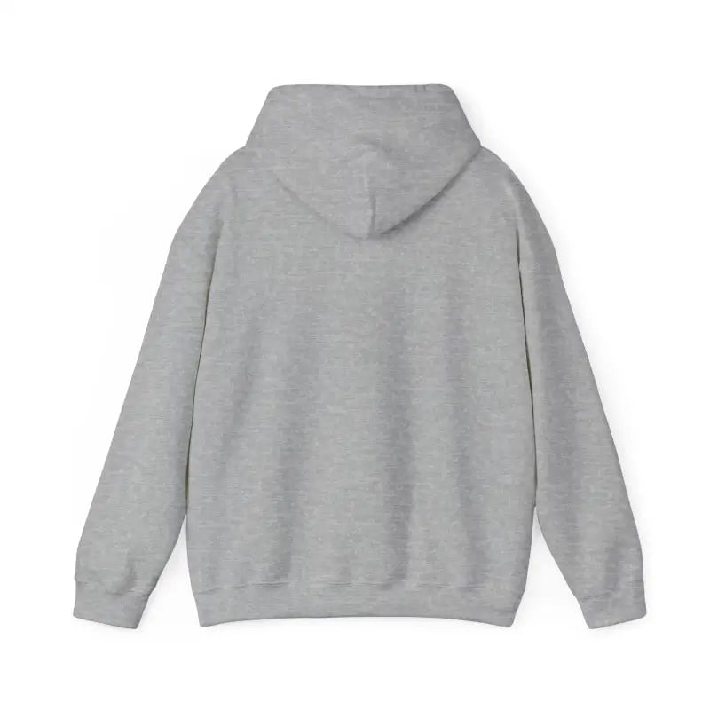 Block Island RI Lighthouse and Seagull Graphic Hoodies in Neutral Shades - Ocean State Styles