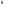        Purple and white varsity jacket from the Classic Varsity Jacket Collection