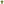        Green T Shirt with Shamrock Lettering for St Patricks Day Celebrate Irish Spirit - Ocean State Styles
