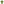         Green T Shirt with Shamrock Lettering for St Patricks Day Celebrate Irish Spirit - Ocean State Styles