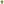         Green T Shirt with Shamrock Lettering for St Patricks Day Celebrate Irish Spirit - Ocean State Styles