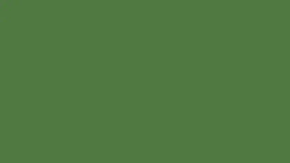 Solid green background for Life’s a Beach Unisex T Shirt Coastal Wear for Relaxation