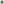         Sage green long-sleeve crew-neck T-shirt from Lost in the Right Direction collection