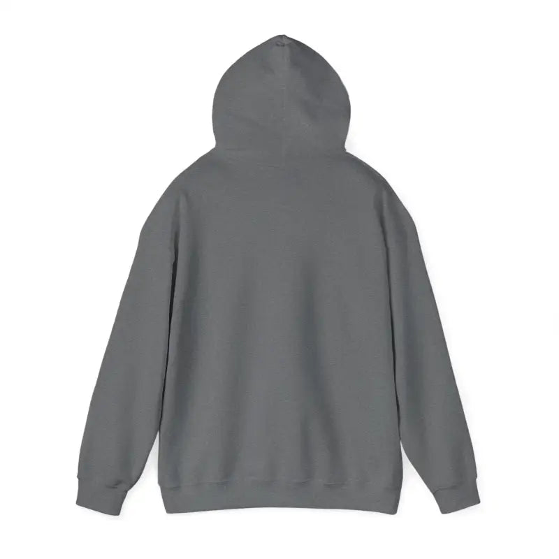 Gray hooded sweatshirt from Navy Blue Hooded Sweatshirt with American Flag and Maritime Signal Flag